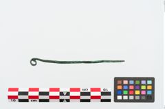 Foto von Bronzerollenkopfnadel (NHMW-PRAE-025074)